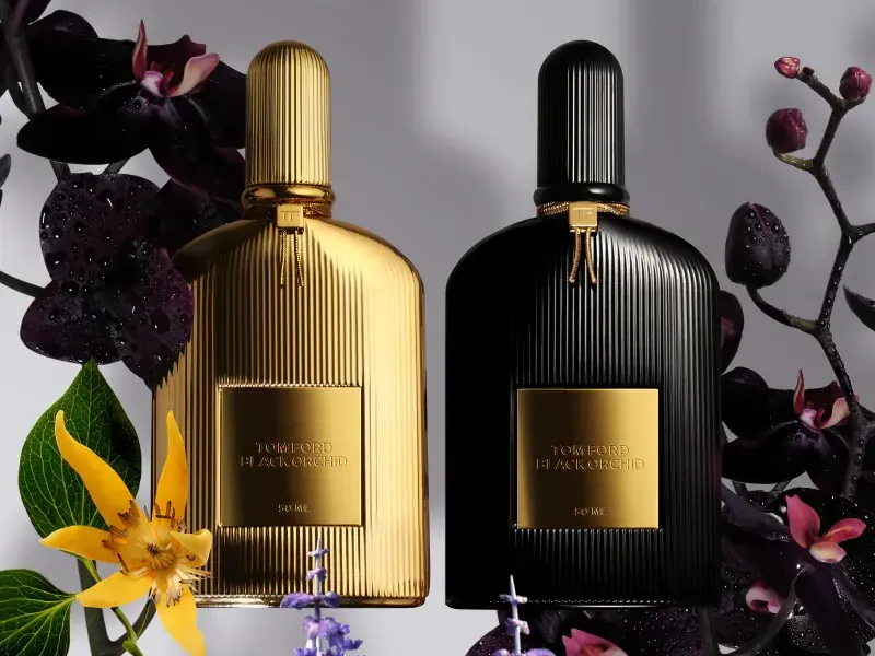 ��������� ���� ����������� ��������