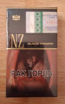  NZ  310$  