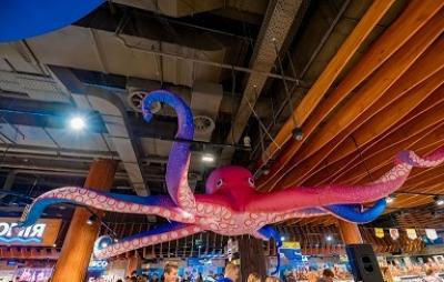 Inflatable stage decorations      