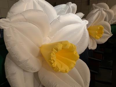 Inflatable flowers       