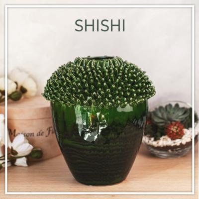   SHISHI -      !  