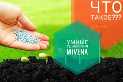 Sadovnikoff -   Mivena ( )  