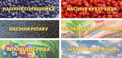 ³       TK Agro Seeds  